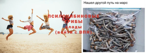 соль ск Алексин