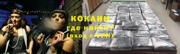 соль ск Алексин