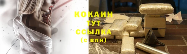 соль ск Алексин