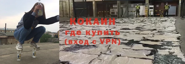 соль ск Алексин
