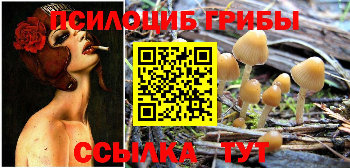 Большой Камень  Галлюциногенные грибы Magic Shrooms  Вход с VPN 
